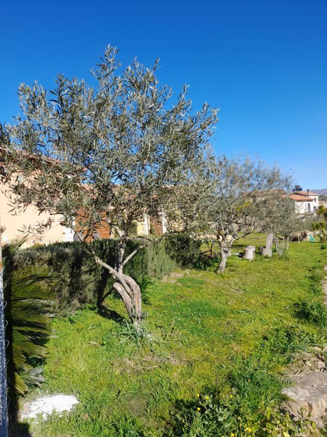 Agriturismo La Stragola นิโกเซีย ภายนอก รูปภาพ