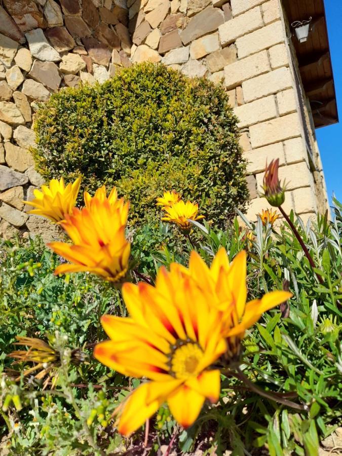 Agriturismo La Stragola นิโกเซีย ภายนอก รูปภาพ